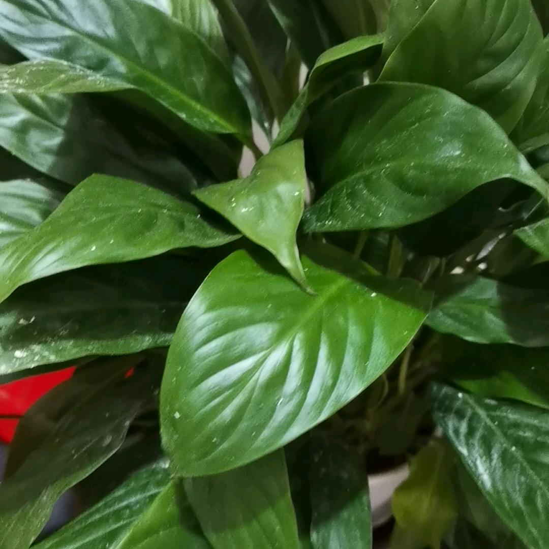 是否记得我（橱窗有好物）
