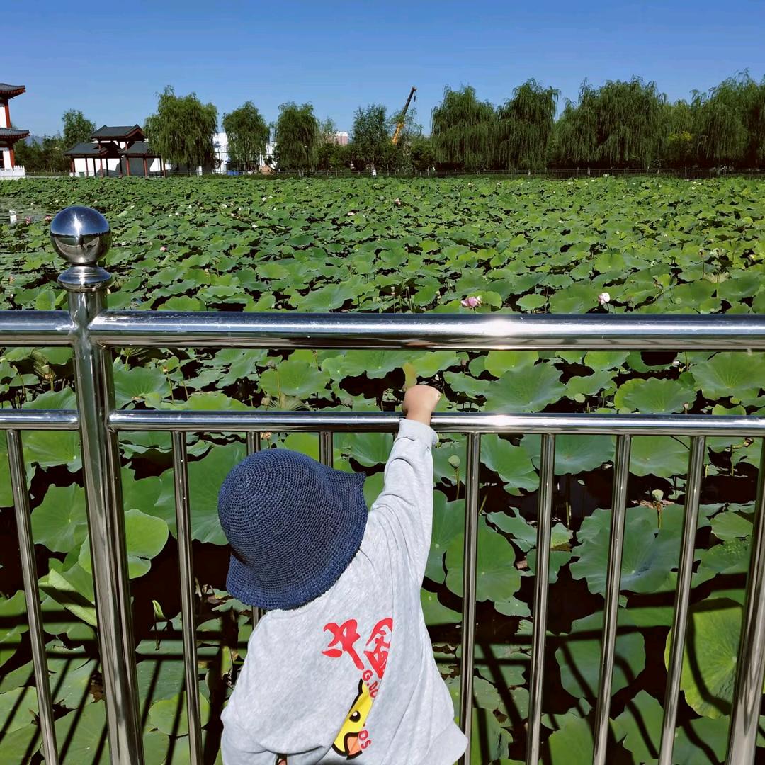 扣扣姐（上午不定时开播）