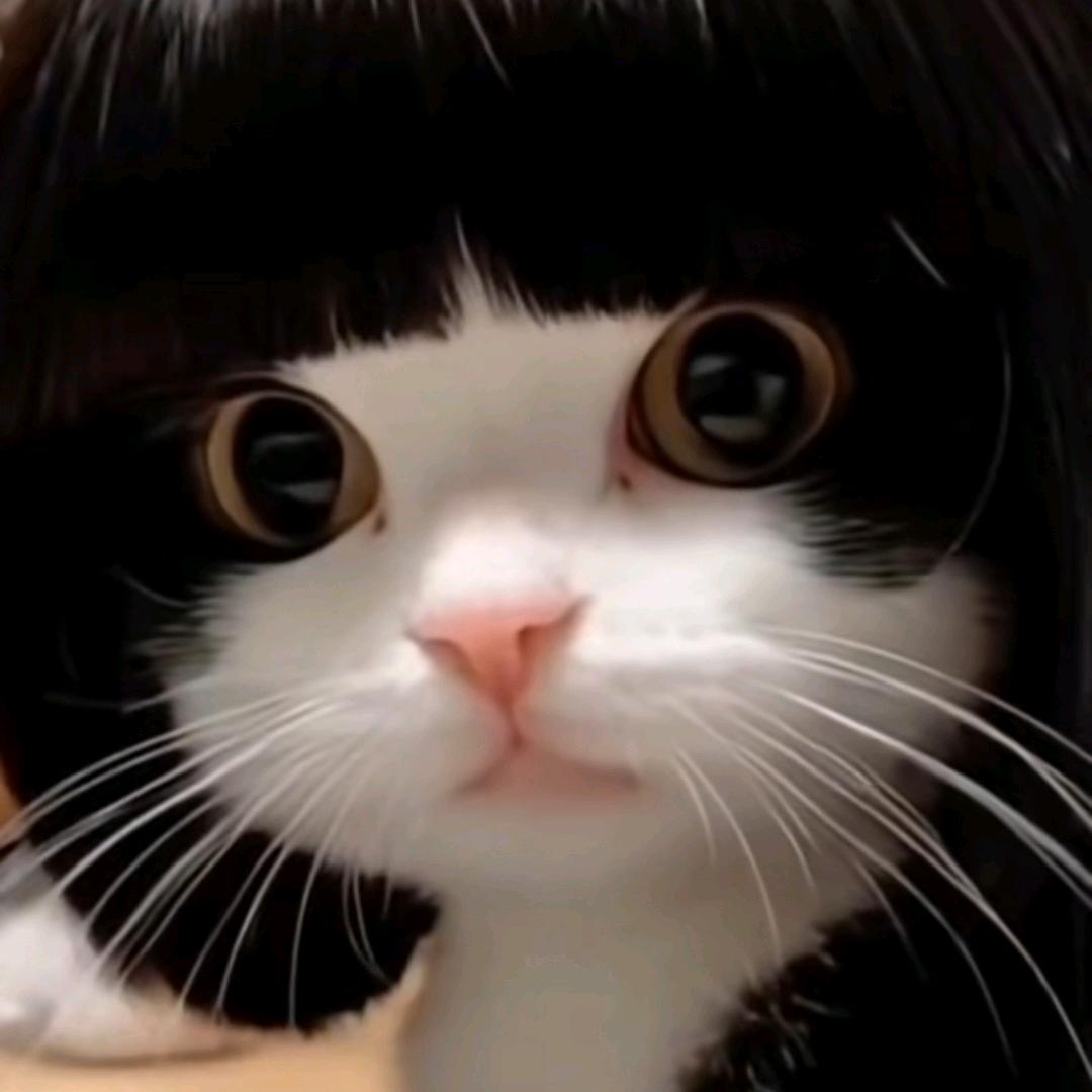 Meow