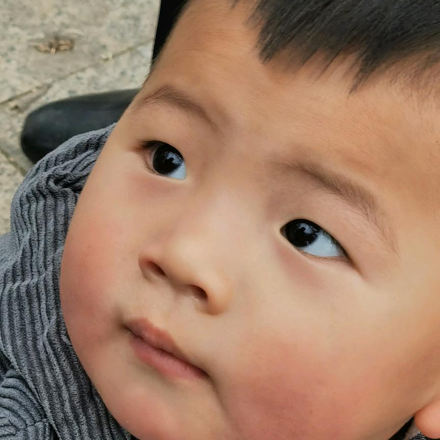 用户2526992290559大鹏