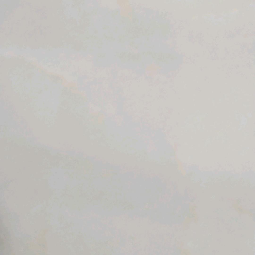 用-74899072387