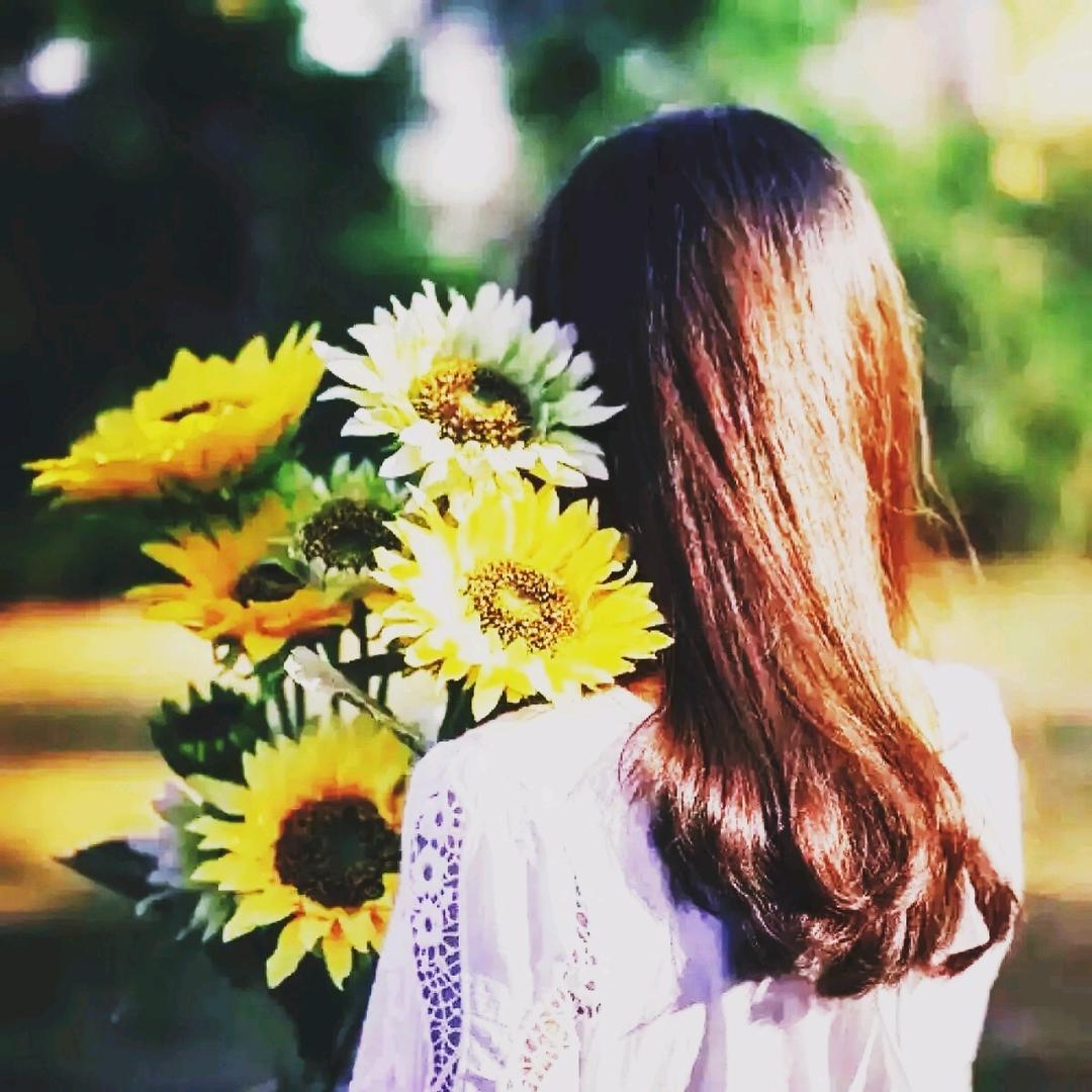 🌻情感音乐