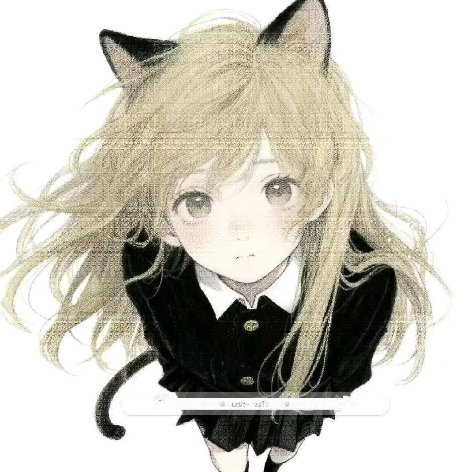 奥格林的猫