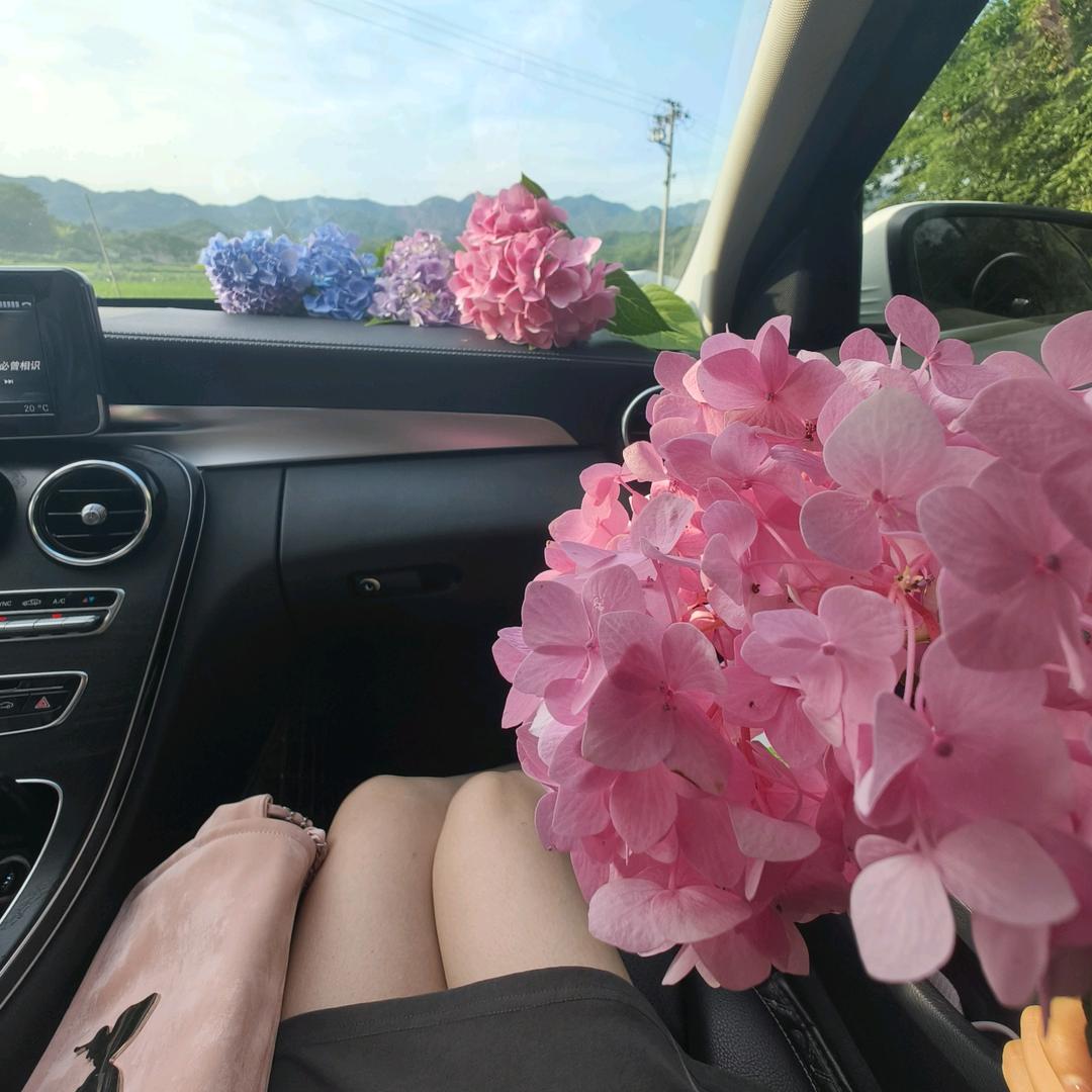 😋大吃一jin🐳