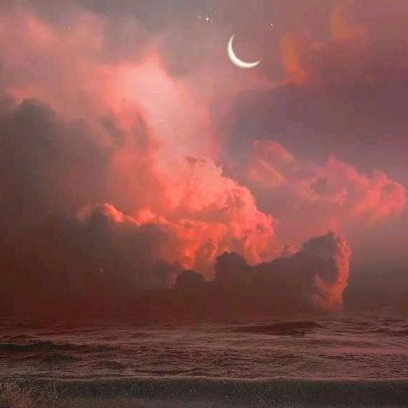 雾散了你就走了