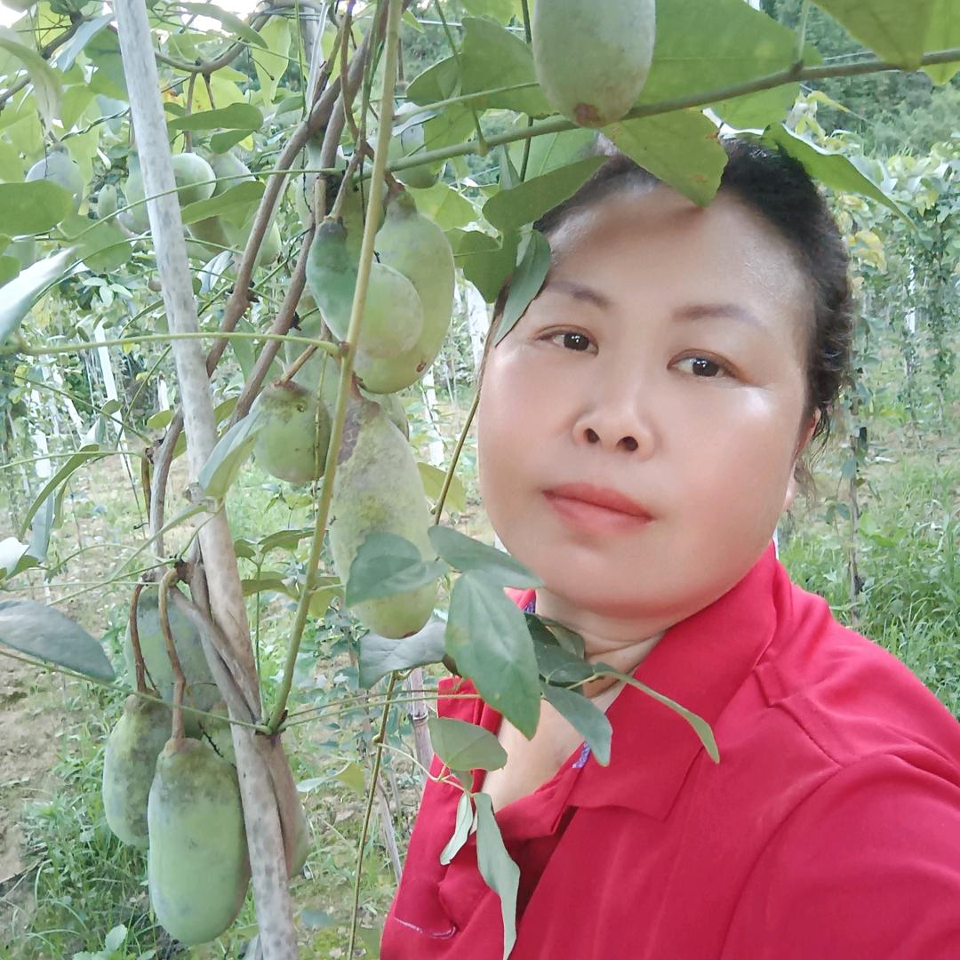 绿色养殖罗姐（八月瓜)
