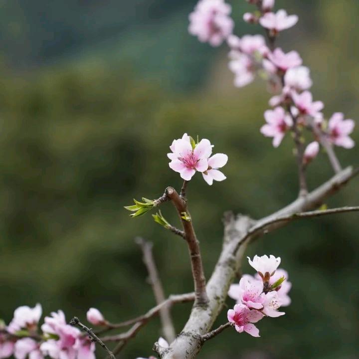 向上