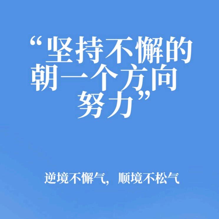 熊🐻猫