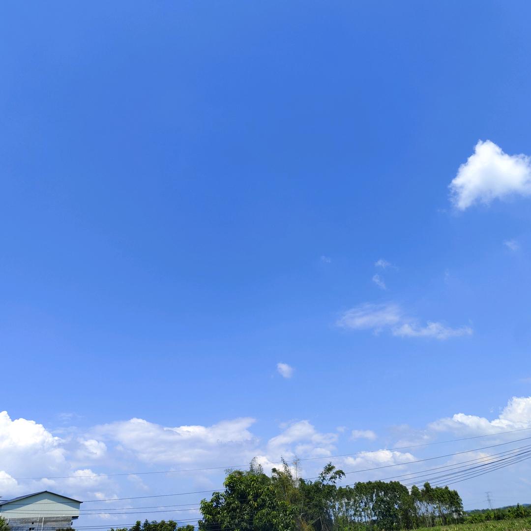 顺其自然吧……