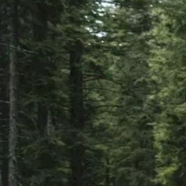 拼搏