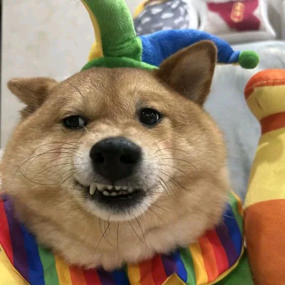 忘忧