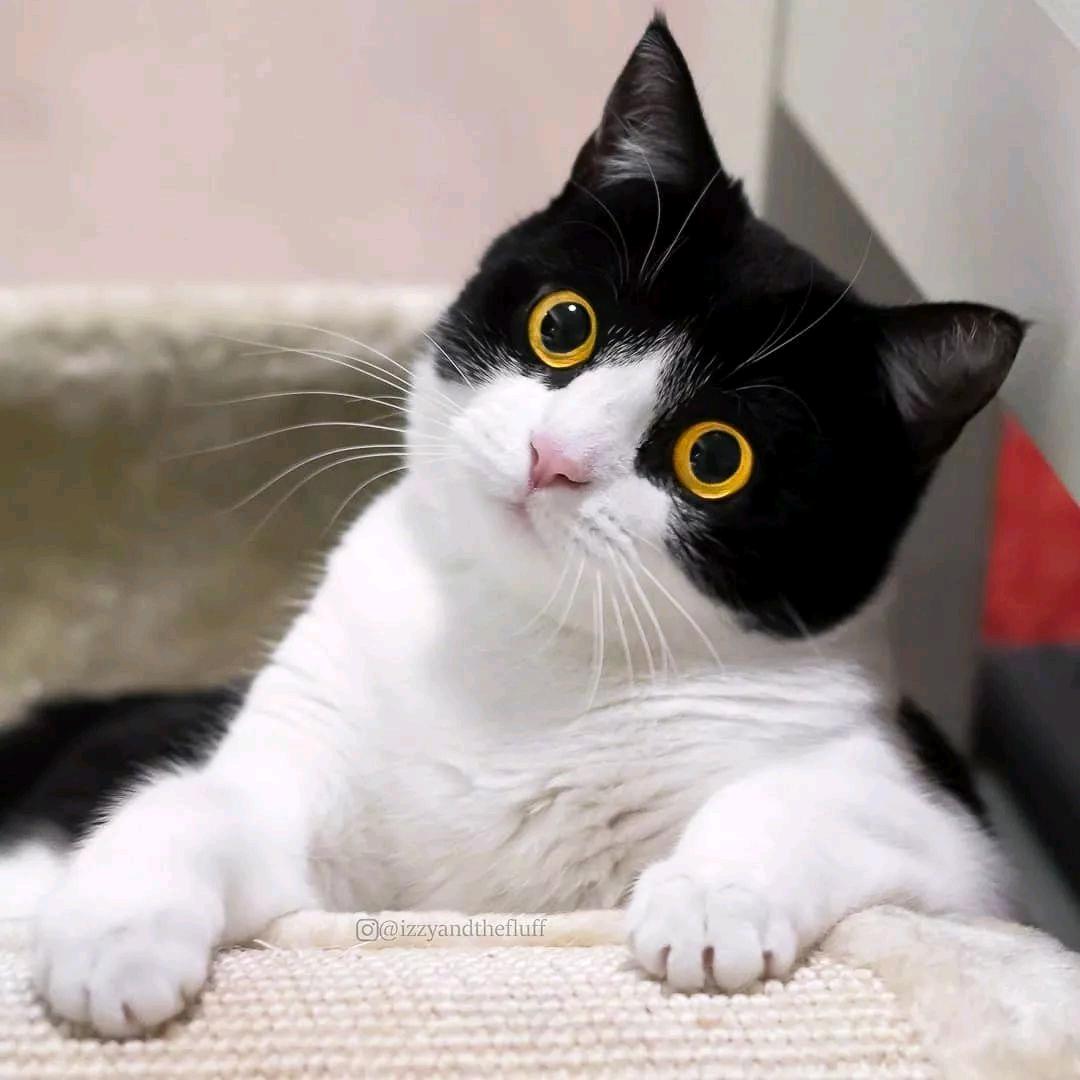 风吹寒