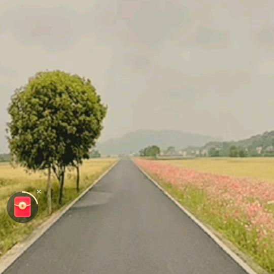 🌻🌻陌是陌生🌻🌻