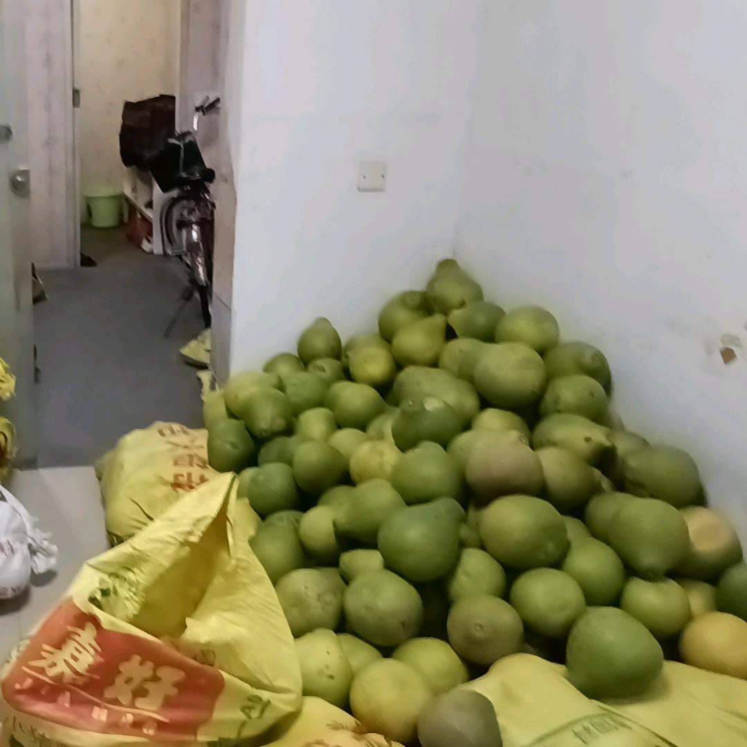 迷茫过半