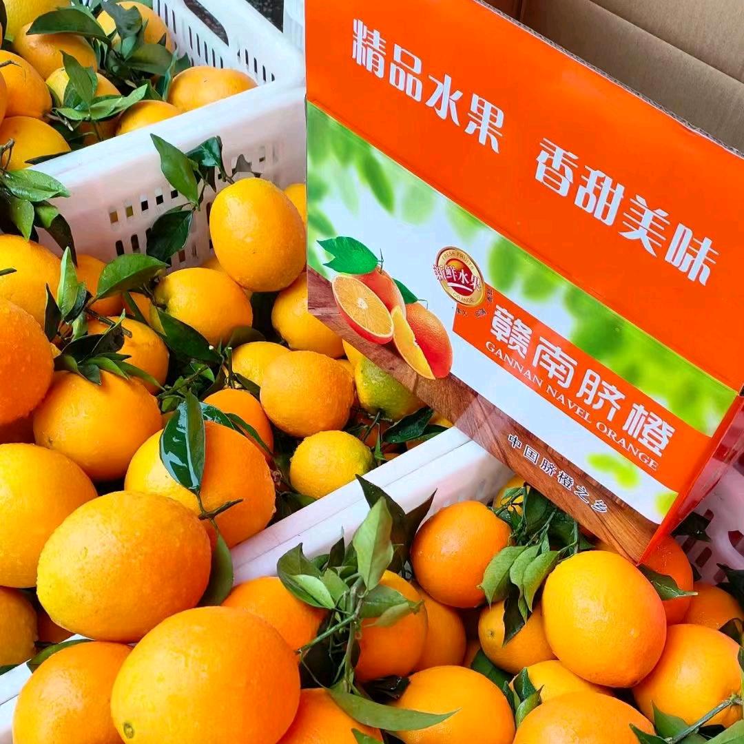 橙哥哥