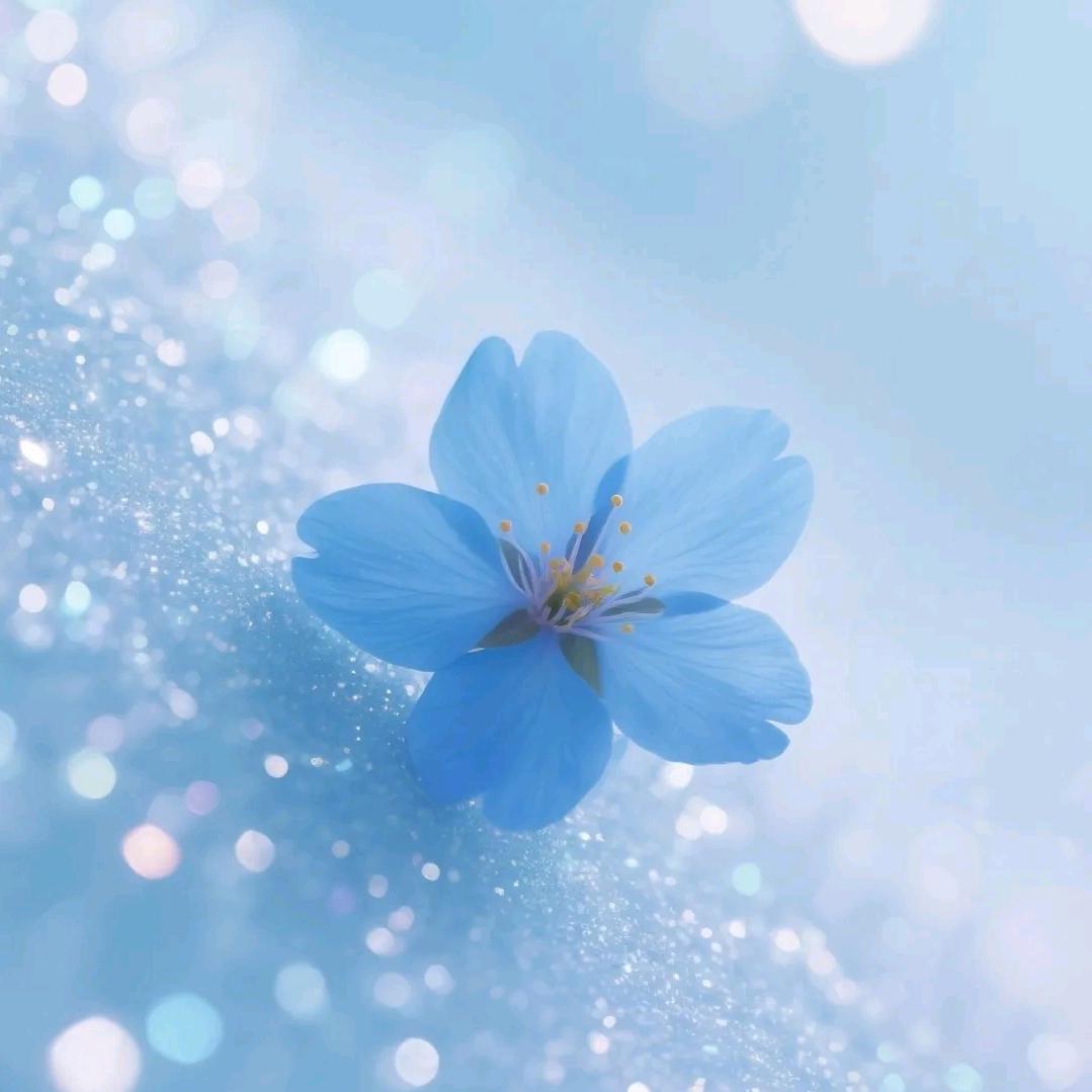ღ᭄ꦿ꯭时来运转ঞৣঁপ᭄᪲