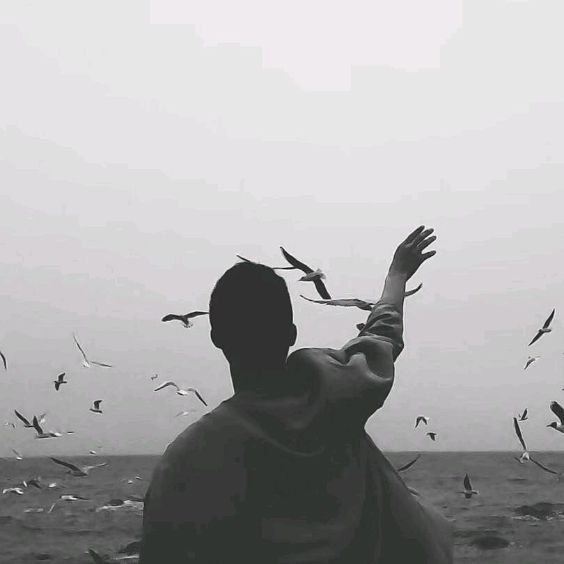 清欢。