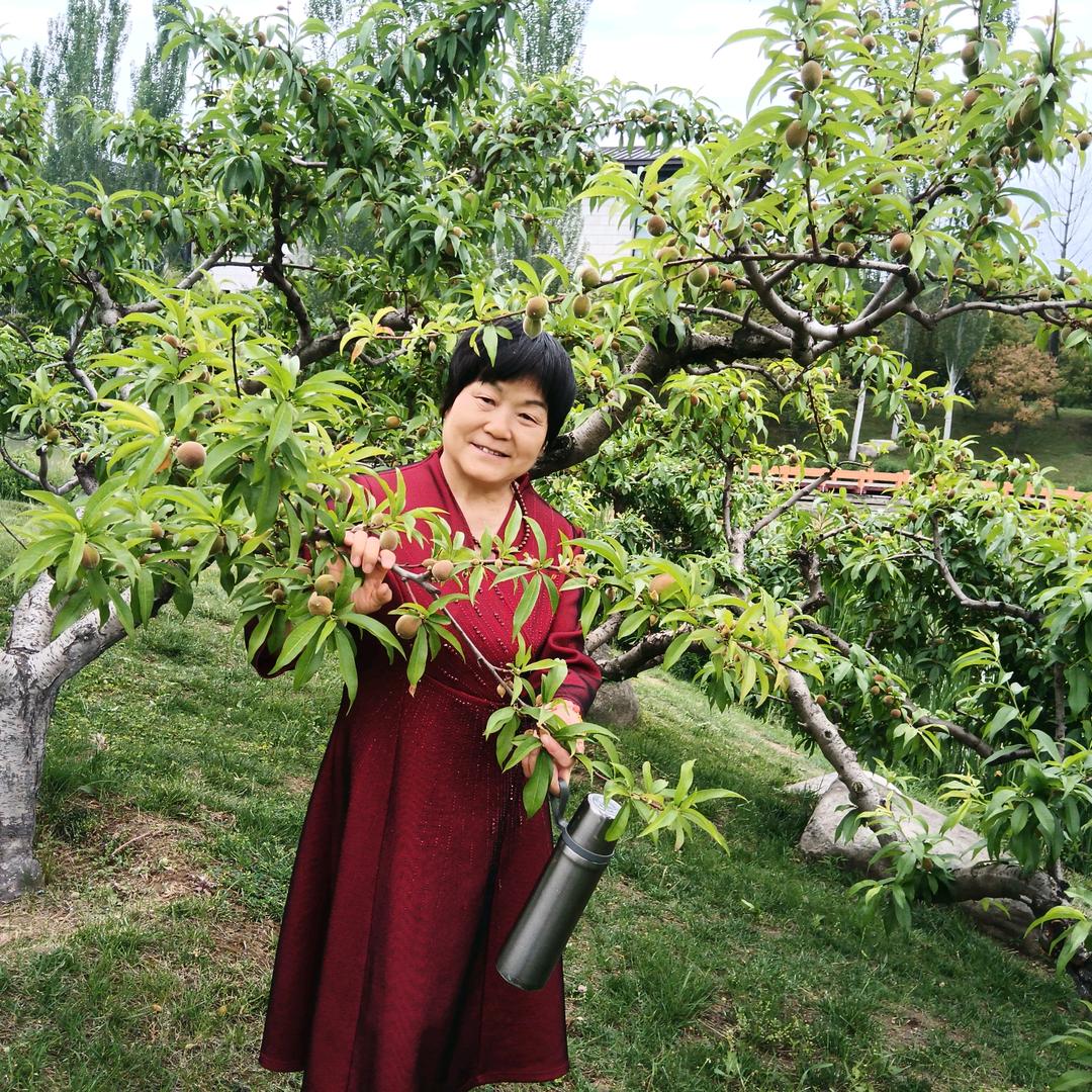林姐爱旅游