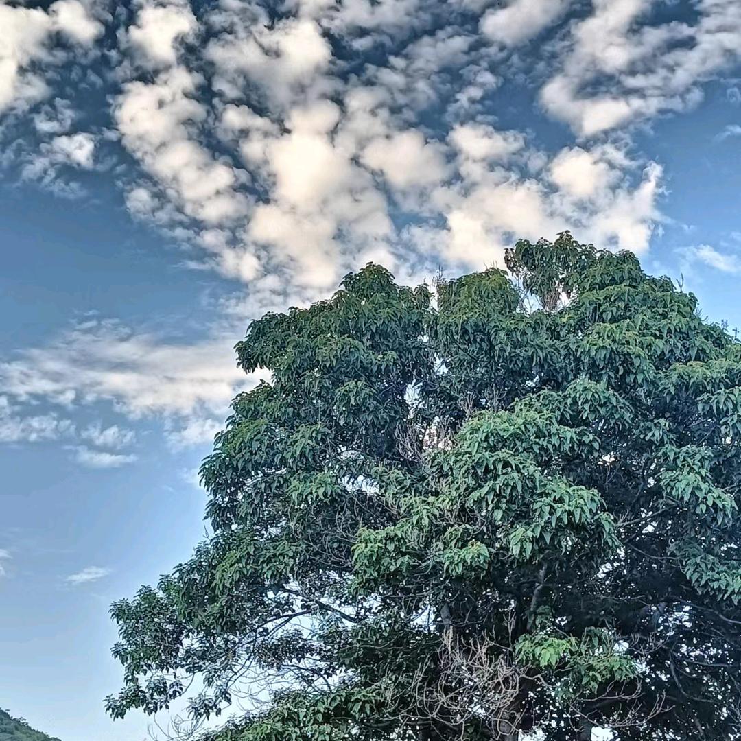 青山绿水