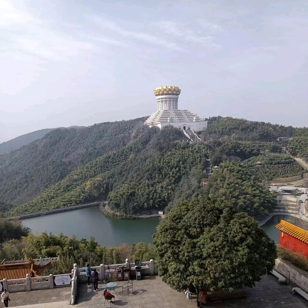 杭州柯桥跑狗拉拉的一天