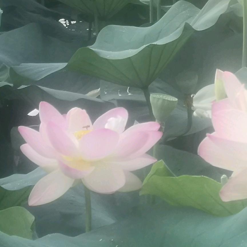 小斌@
