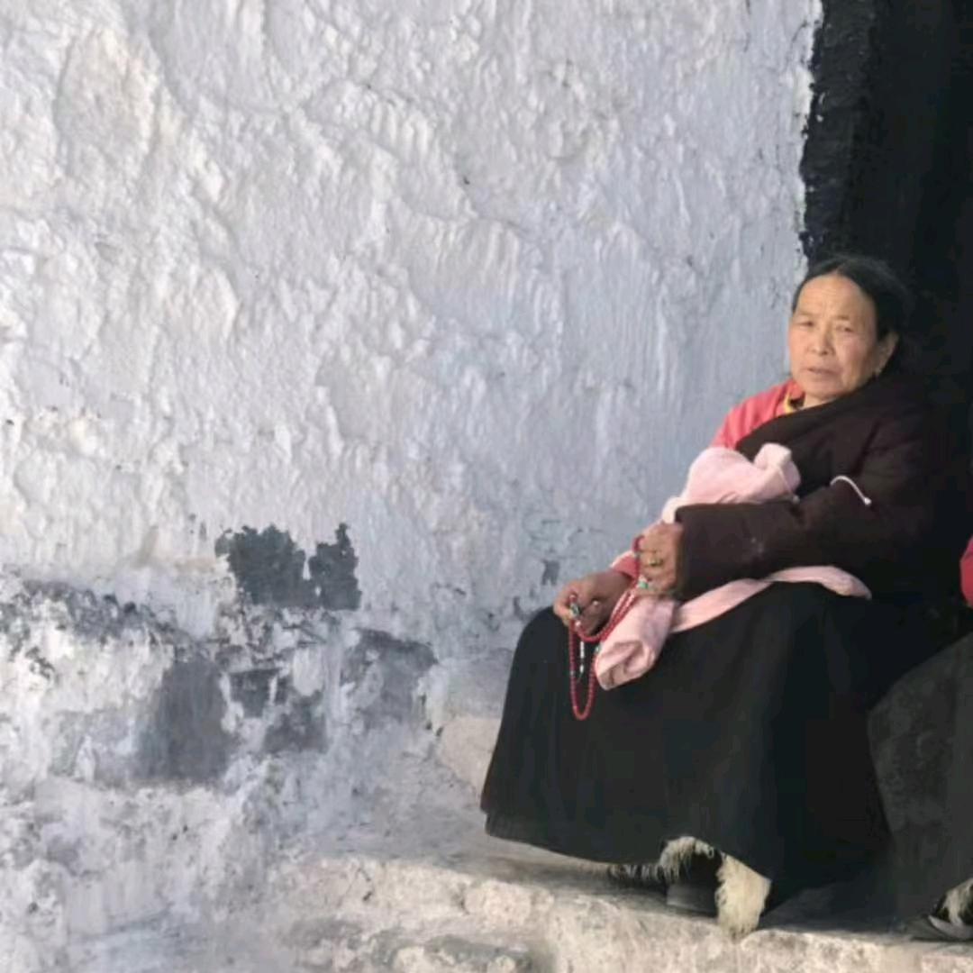 草原的狼🐺🐺