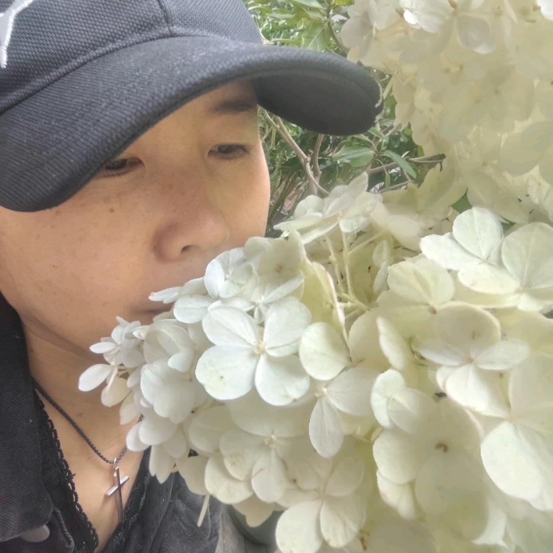 阳光之爱