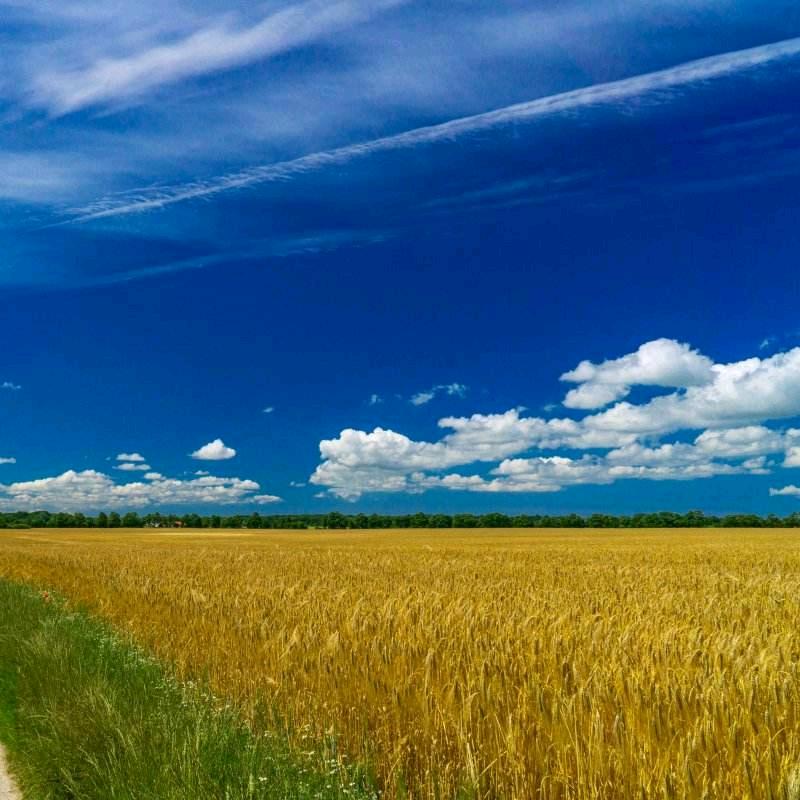 🕊️小小🕊️