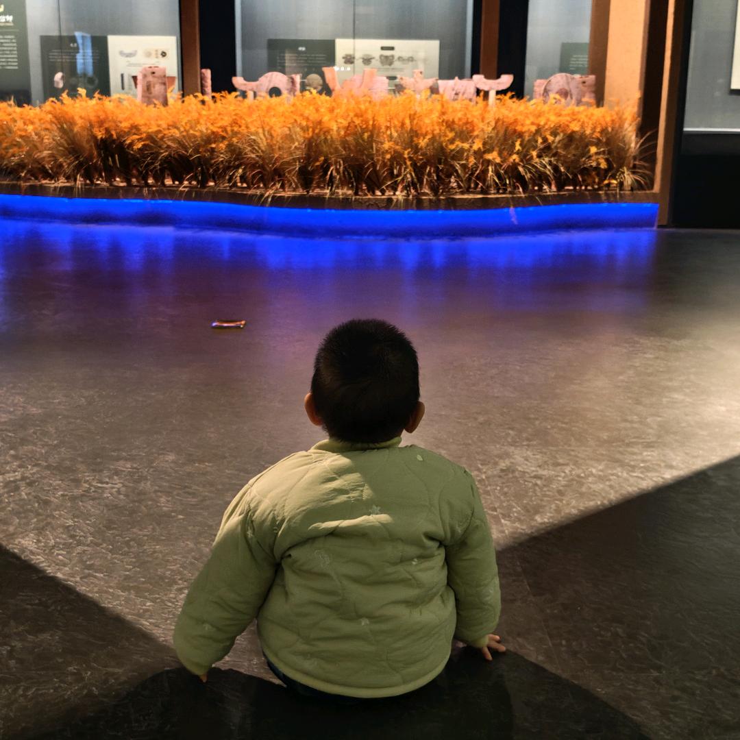 宁缺你可真够缺