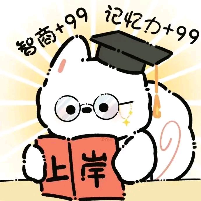 芝士猫