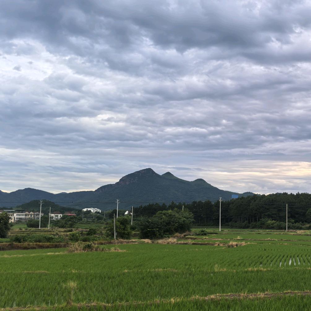 水木清