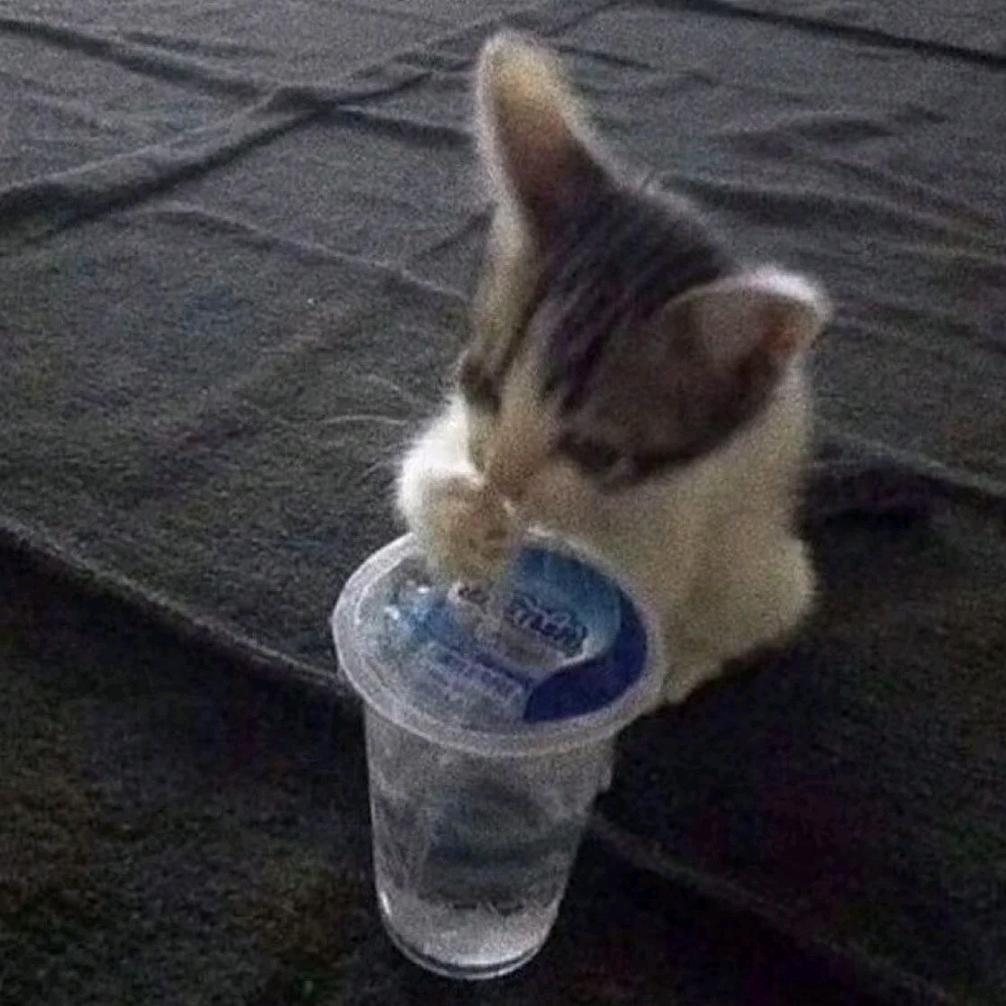 ⁺✞ʚ💵重度依赖ɞ✟₊