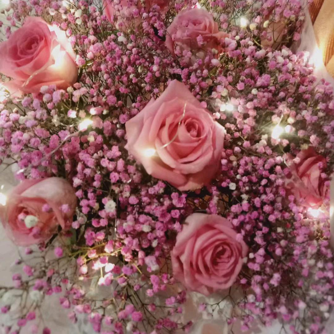 你若安好便是晴天