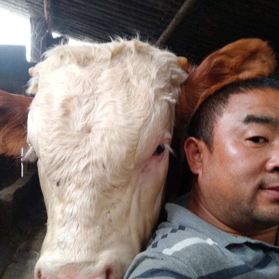 我是牛人军哥
