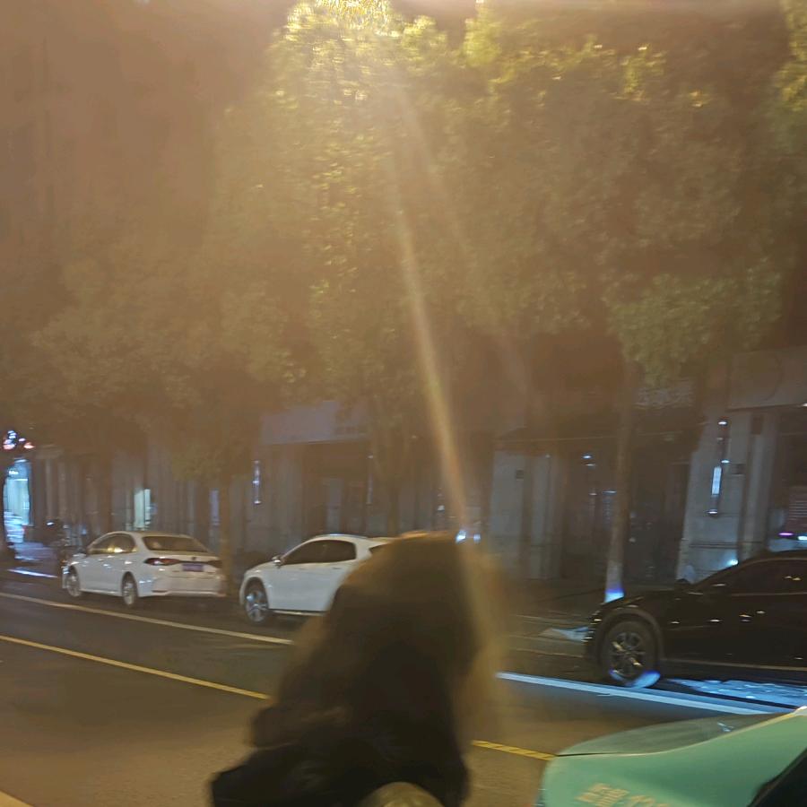 曾经的曾