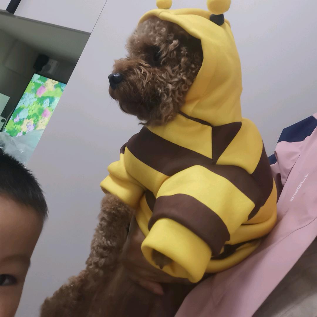 潇潇