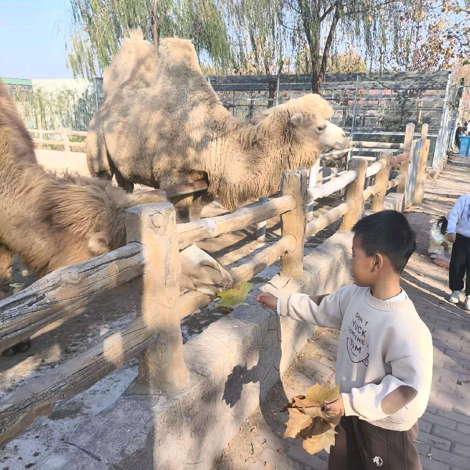 🌟姐是限量版✨💫