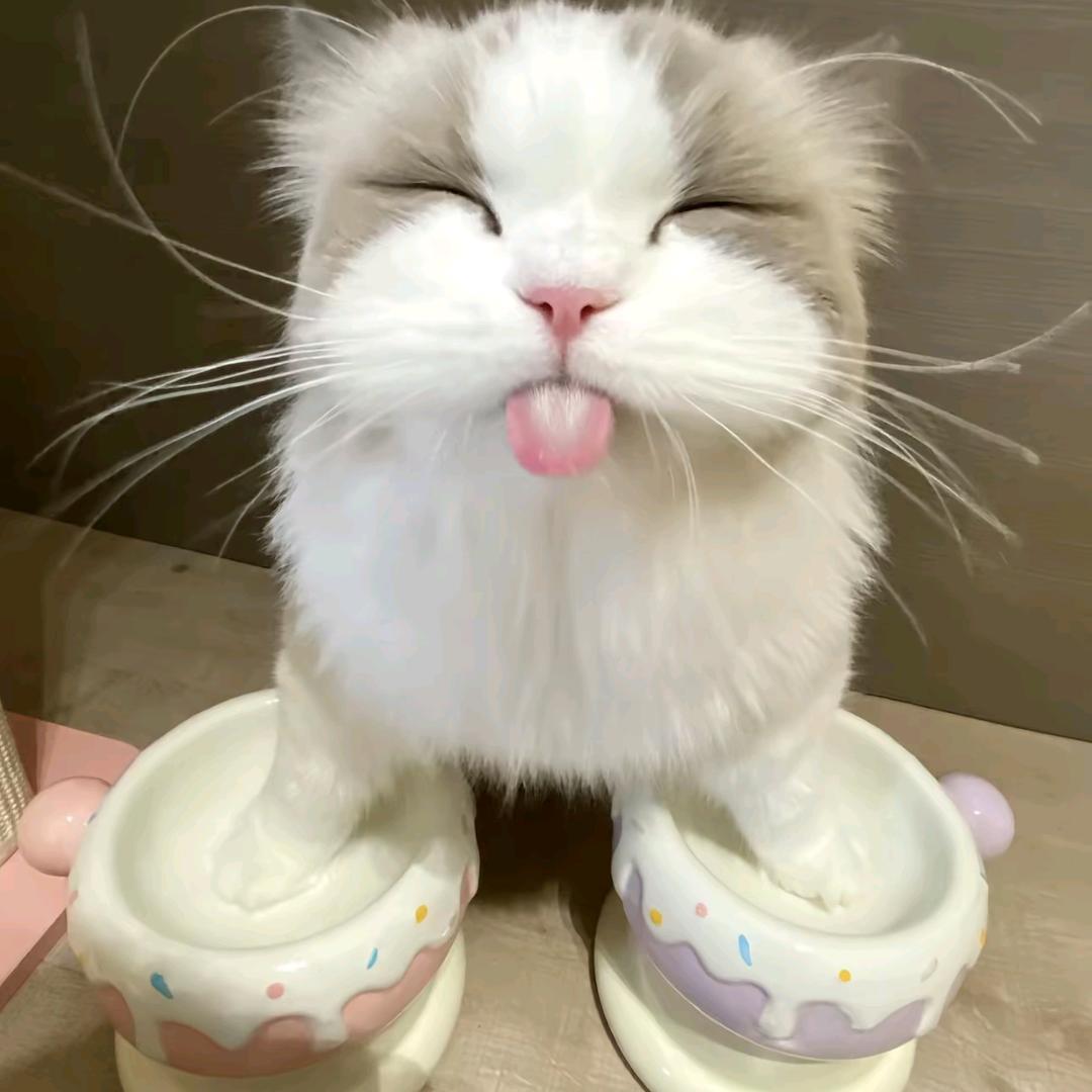 秋意tt