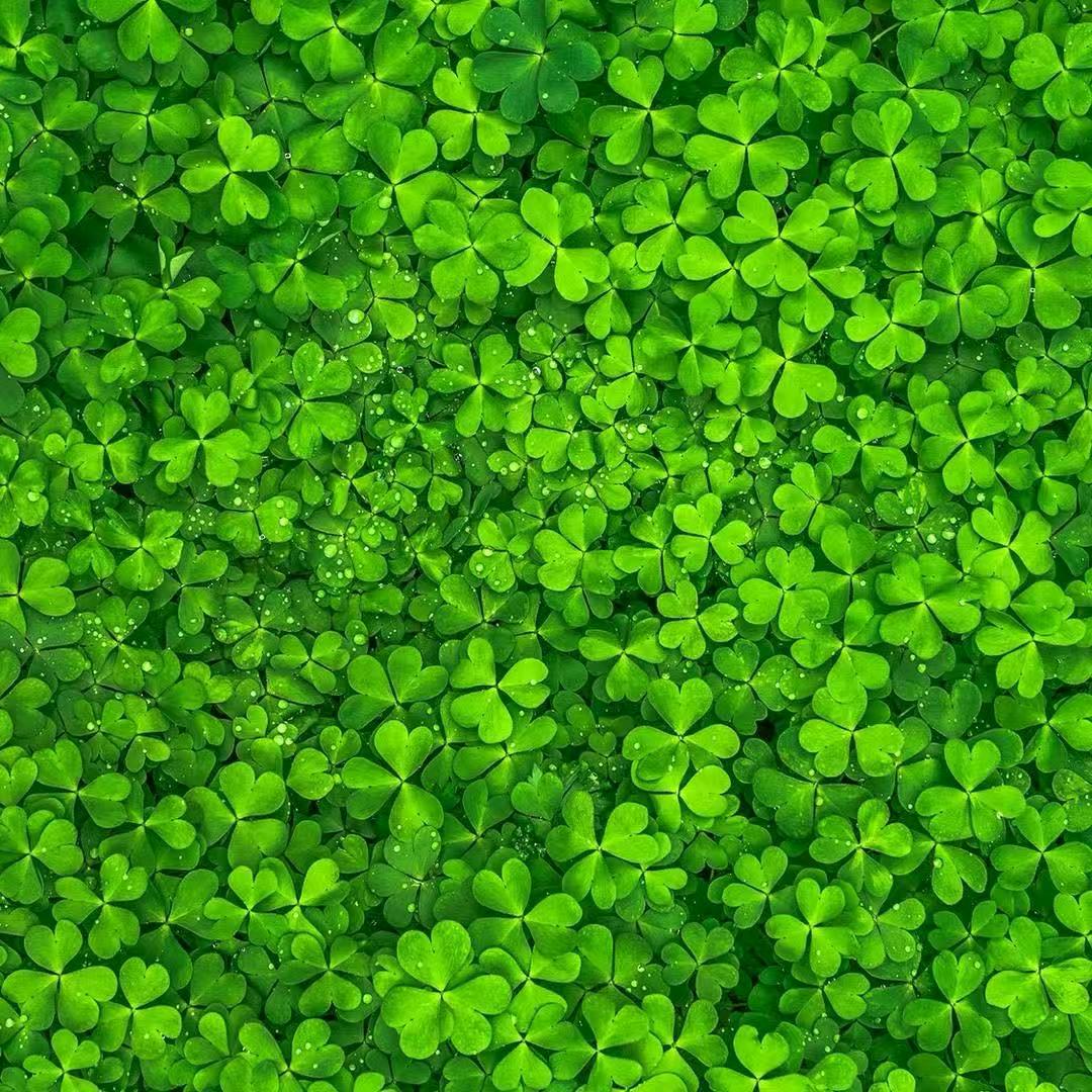 德馨塑胶地板革