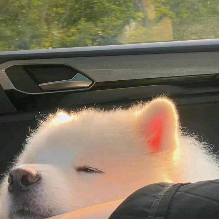 清眠．
