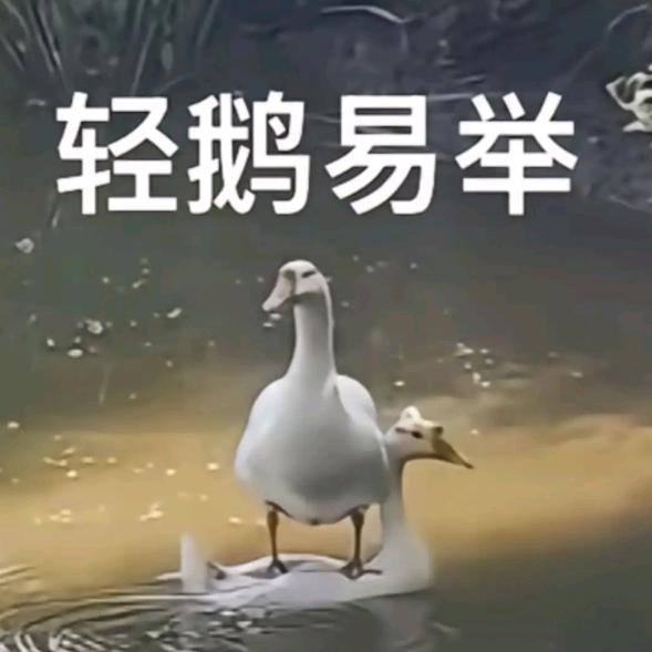 羞羞羞到士