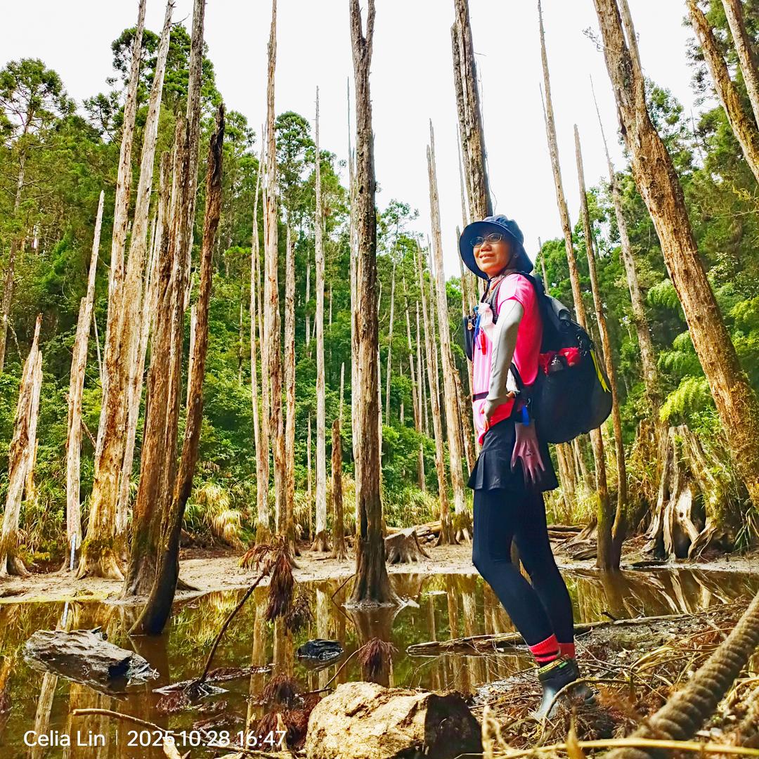 西莉亞山林記錄🌸