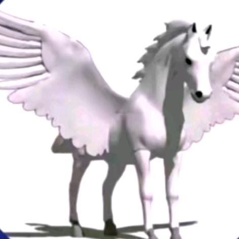 遇见🐎。