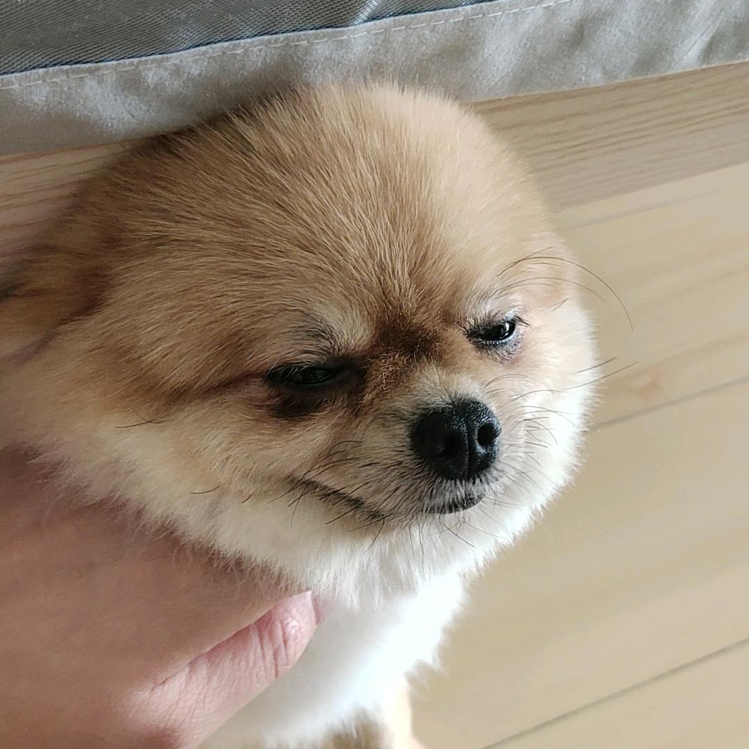 优选好物