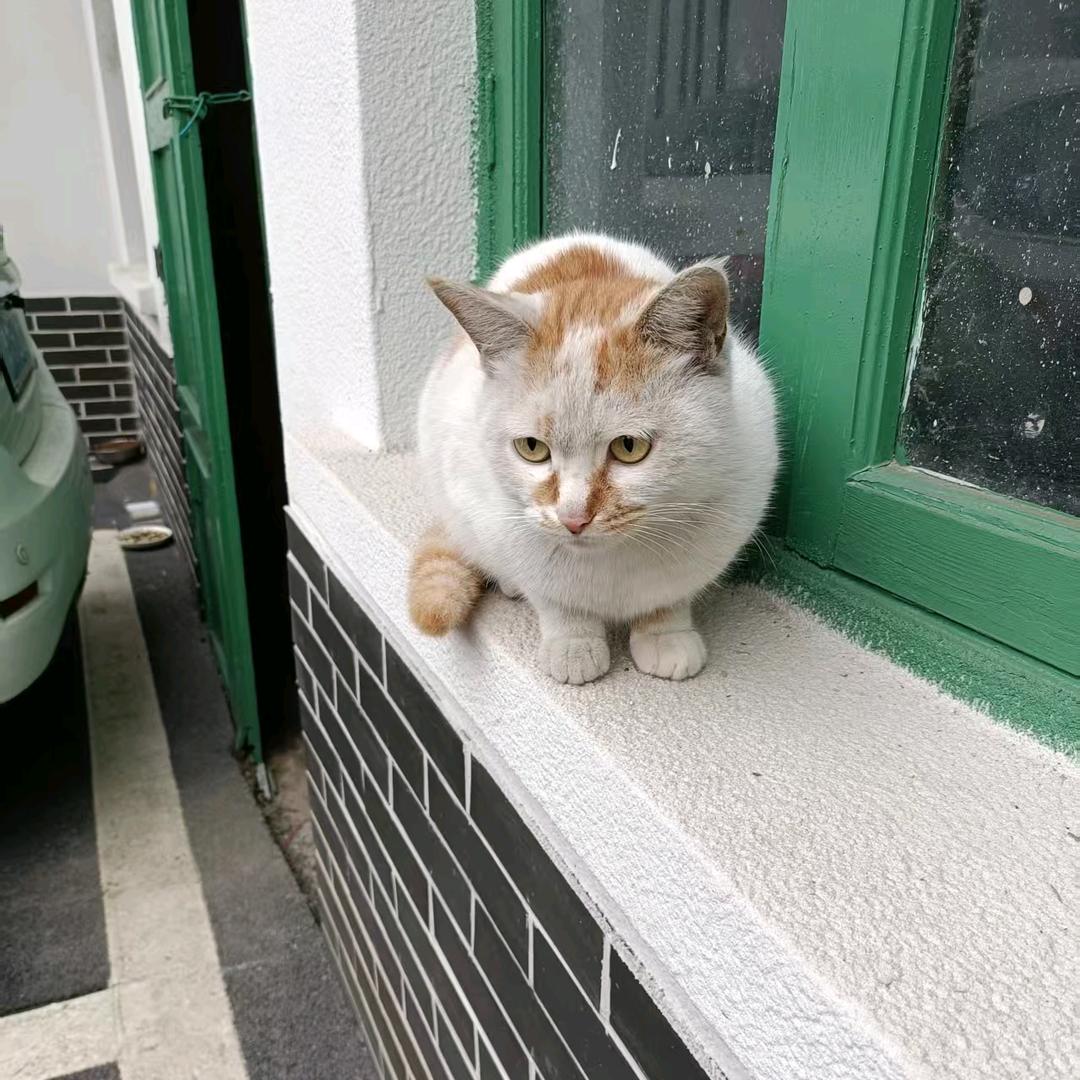 保健品 护肤品，