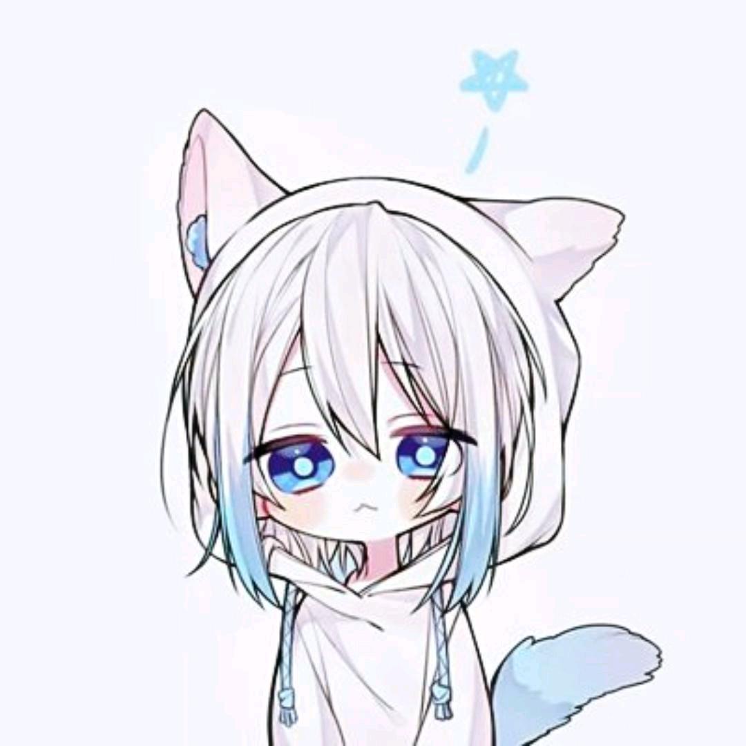 动画乐园