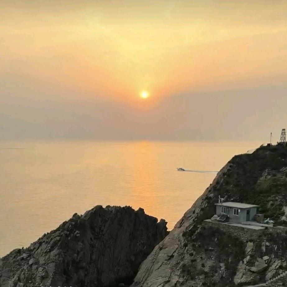 向阳向上