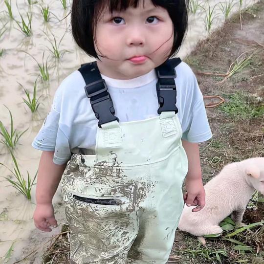 呆呆鱼