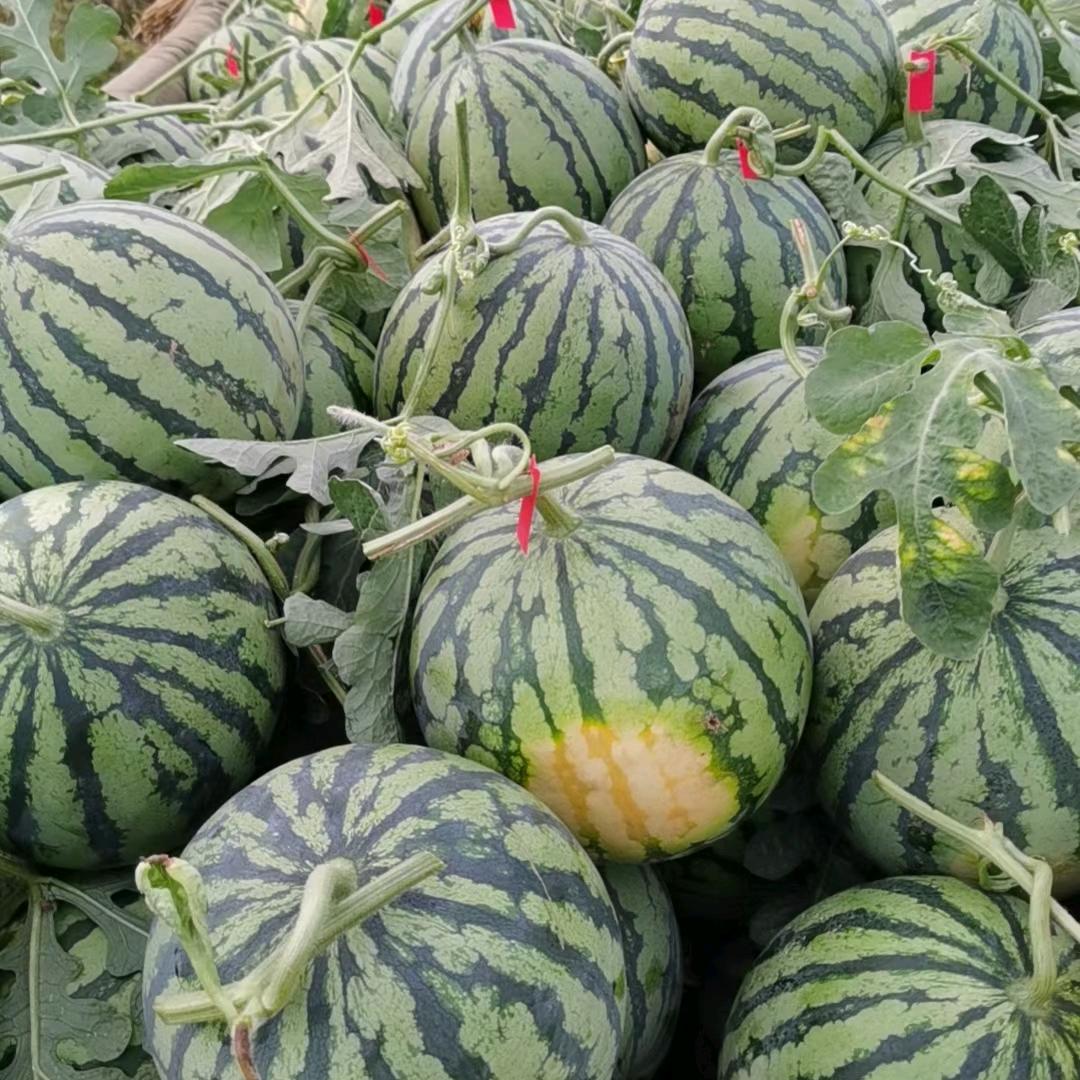 🌈佰晟🌈农业🍎🥬