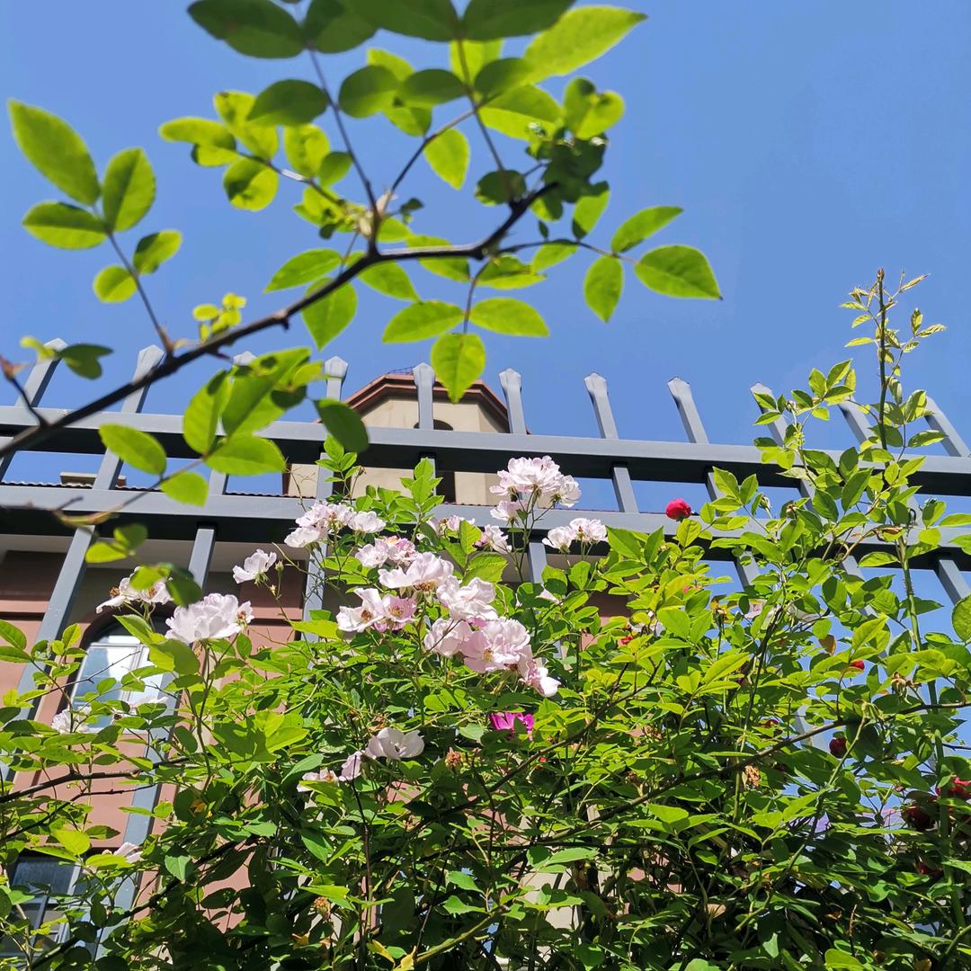 &～&李   琴全洲桃源